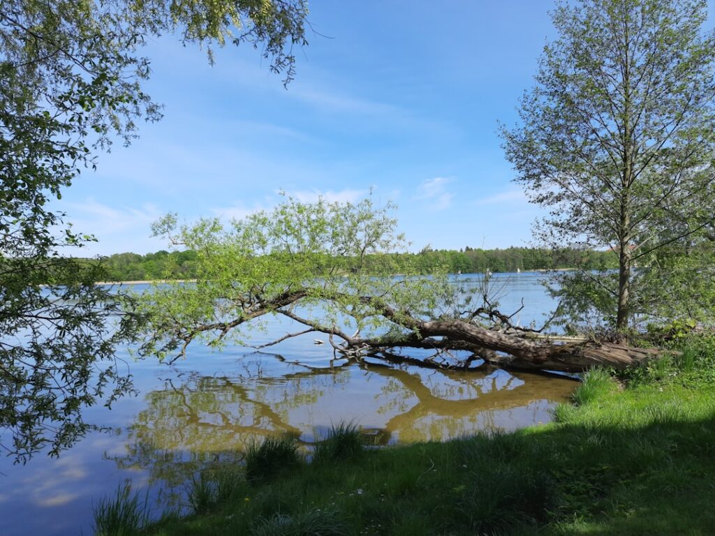 Photo Mazury Lake