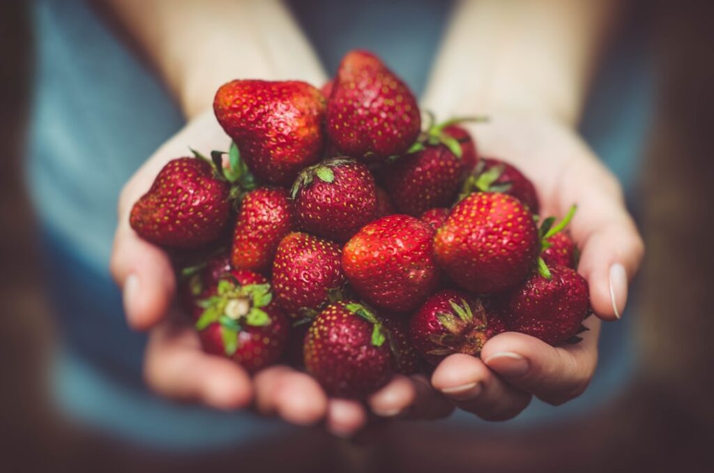 Photo Functional food