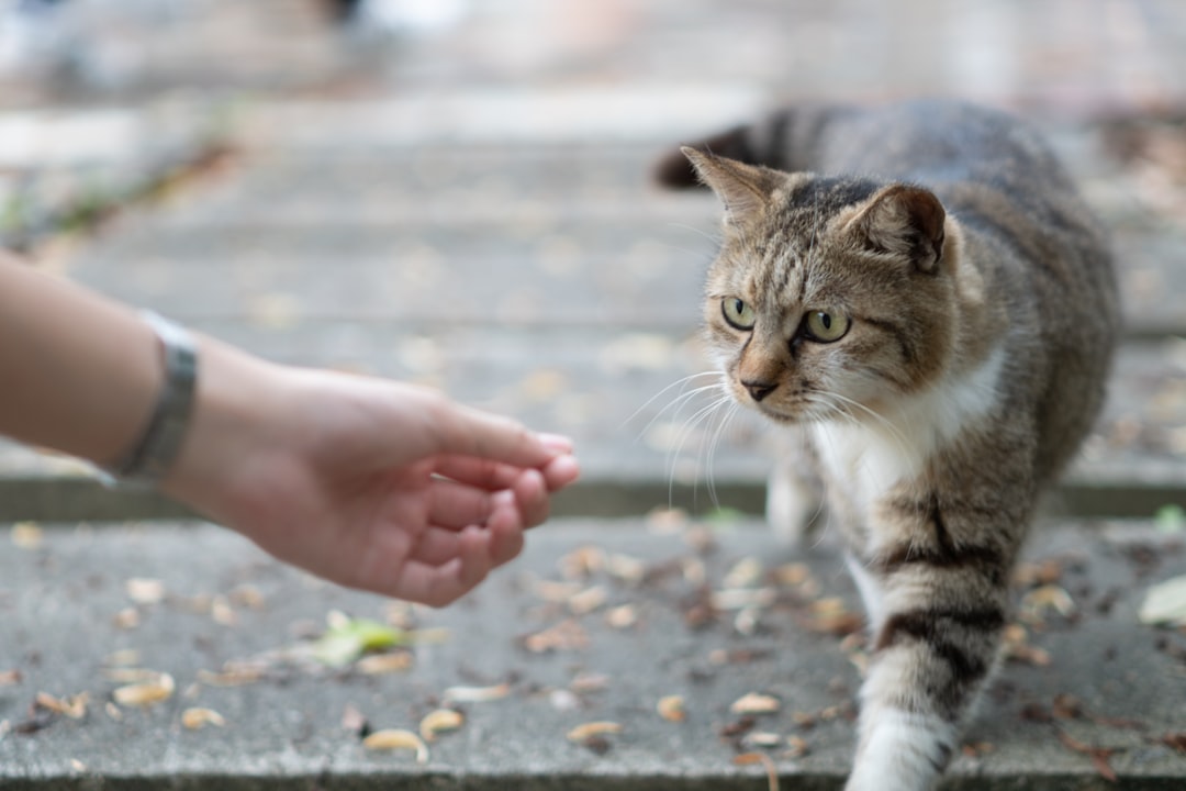 Photo altruistic animal behavior