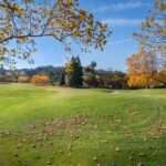 Photo Biotechnologia syntetyczna