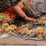 Polskie tradycje zielarskie: dziedzictwo i praktyki 3 Photo Polish herbal traditions
